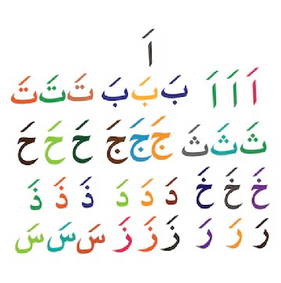 • Arabic Language Skills