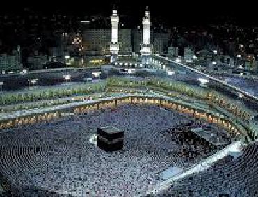  • Customized Courses